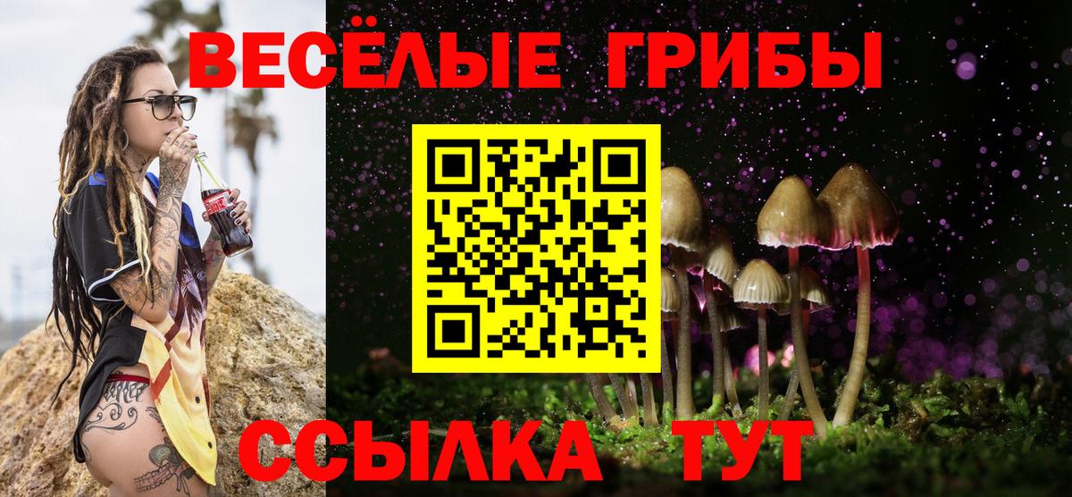 Красноармейск  Псилоцибиновые грибы MAGIC MUSHROOMS  магазин    Вход с VPN 