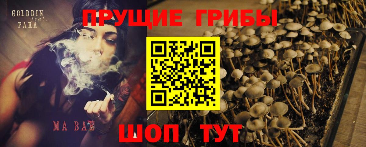 Псилоцибиновые грибы Cubensis Красноармейск